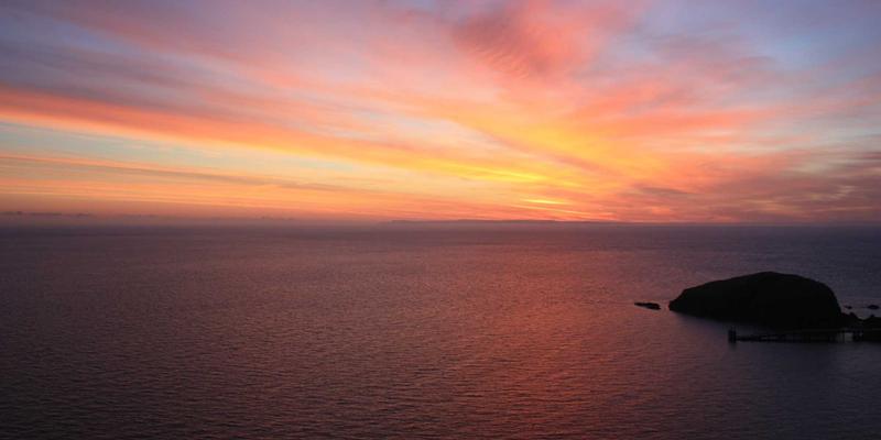 昆明宠物友好生活全攻略:与爱宠同游春城,解锁公园、美食与贴心服务