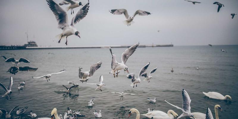 昆明家庭周末遛娃地图：从野生动物园到科技馆的寓教于乐路线，附在地美食推荐