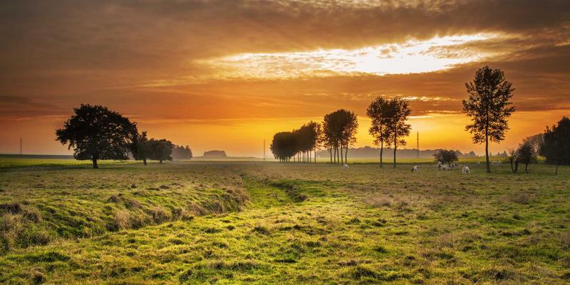 昆明本地生活指南：在官渡古镇与呈贡，亲手触摸非遗的温度
